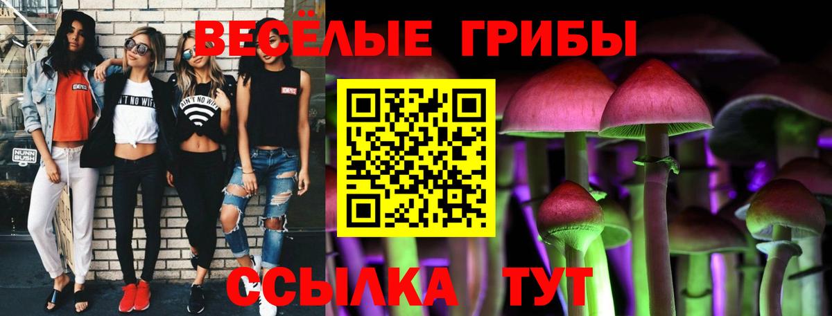 Нижнекамск  Псилоцибиновые грибы мухоморы  Вход с VPN 